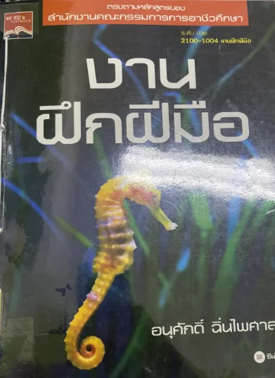 งานฝึกฝีมือ