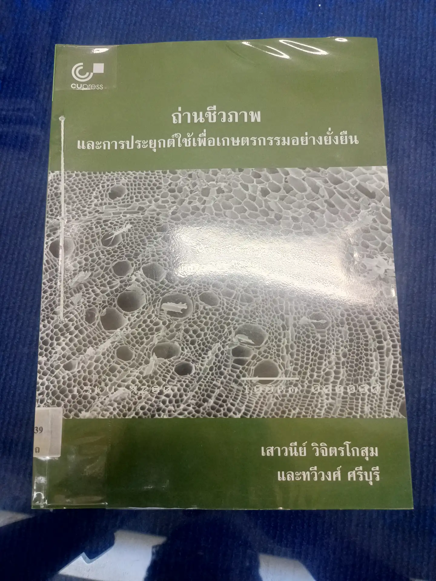 ถ่านชีวภาพ และการประยุกต์ใช้เพื่อเกษตรกรรมอย่างยั่งยืน